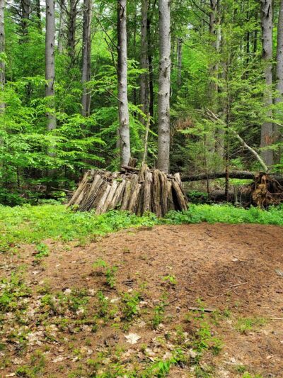 Matthies Grove - Barkhamsted, CT