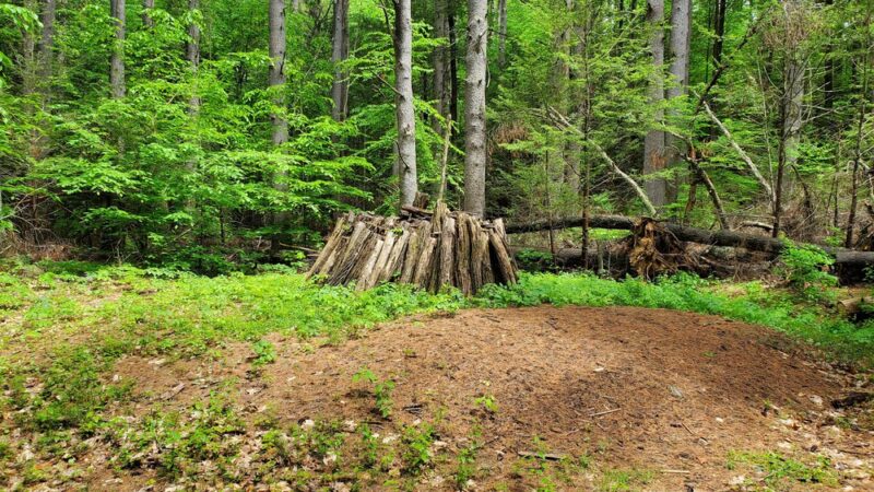 Matthies Grove - Barkhamsted, CT