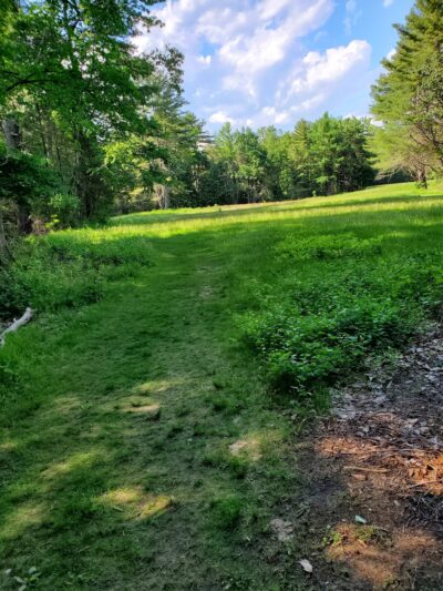 Matthies Grove - Barkhamsted, CT