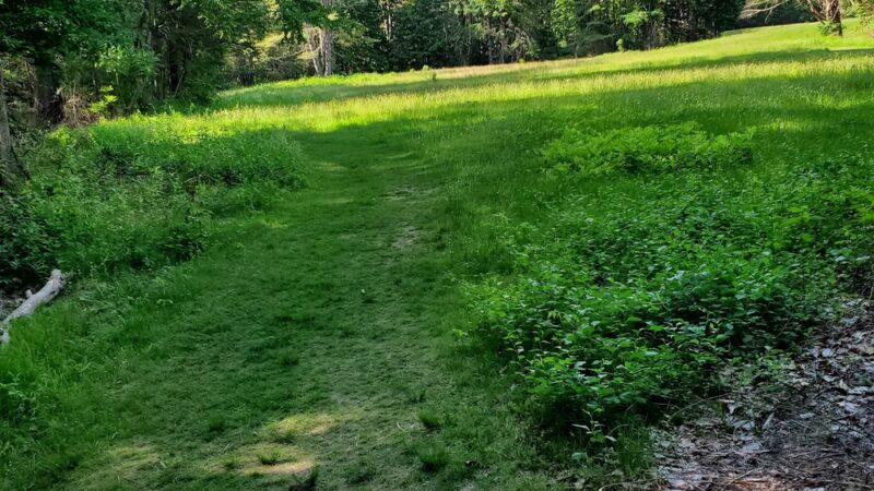 Matthies Grove - Barkhamsted, CT