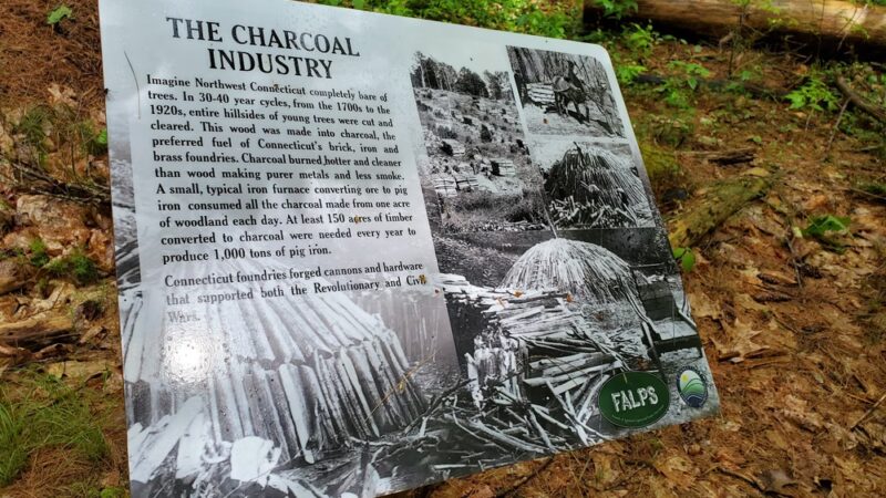 Matthies Grove - Barkhamsted, CT