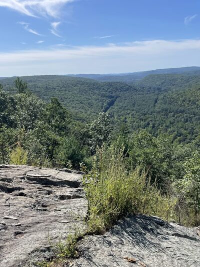 Peoples State Forest - Barkhamsted, CT