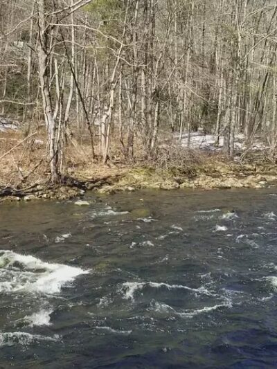Peoples State Forest - Barkhamsted, CT