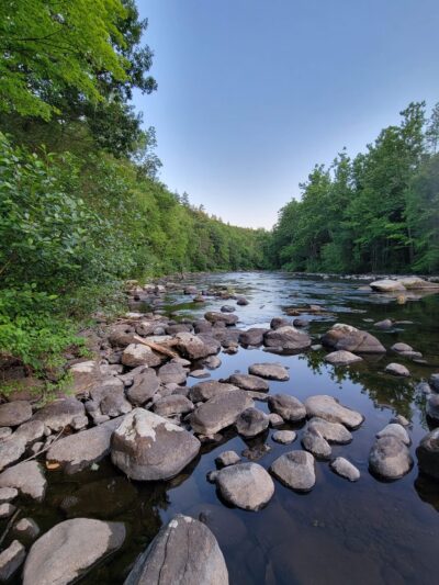 Peoples State Forest - Barkhamsted, CT