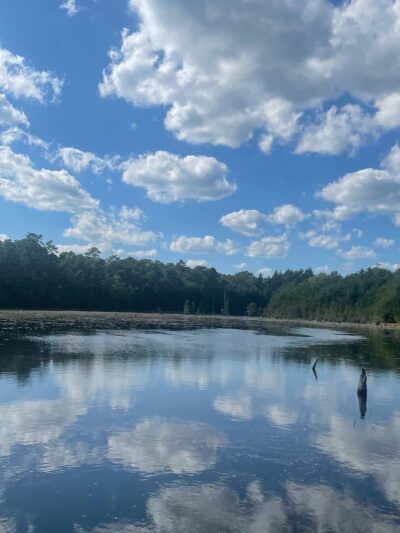 Cloverdale Farm County Park - Barnegat, NJ