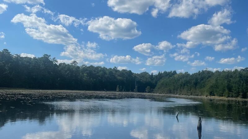 Cloverdale Farm County Park - Barnegat, NJ