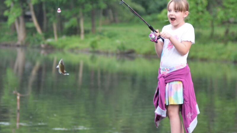 Lakewood Park Campground - Barnesville, PA
