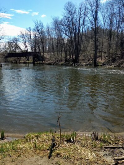 Cincinatti Creek - Barneveld, NY