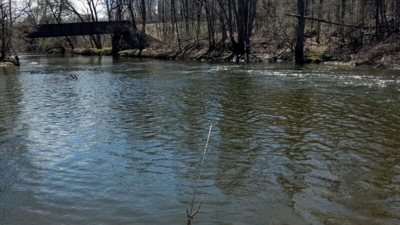 Cincinatti Creek - Barneveld, NY