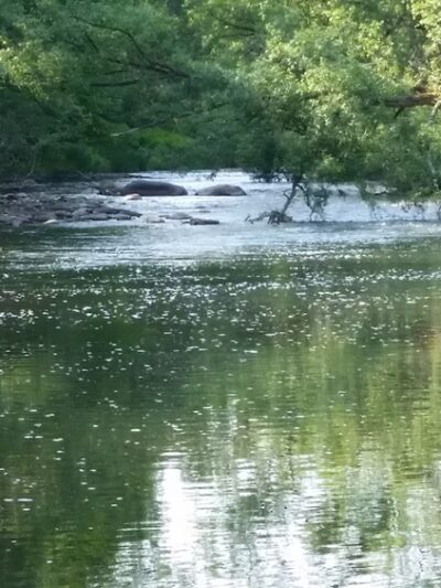 Cincinatti Creek - Barneveld, NY