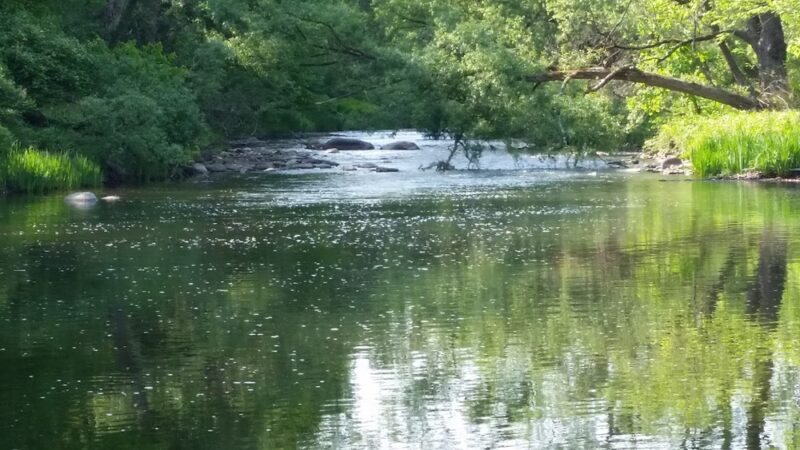 Cincinatti Creek - Barneveld, NY