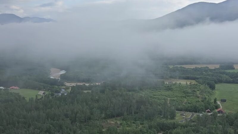 Cathedral Ledge Trail - Bartlett, NH