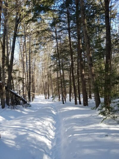 Cathedral Ledge Trail - Bartlett, NH