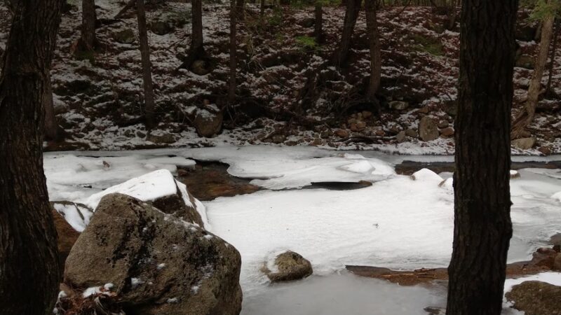 Cathedral Ledge Trail - Bartlett, NH