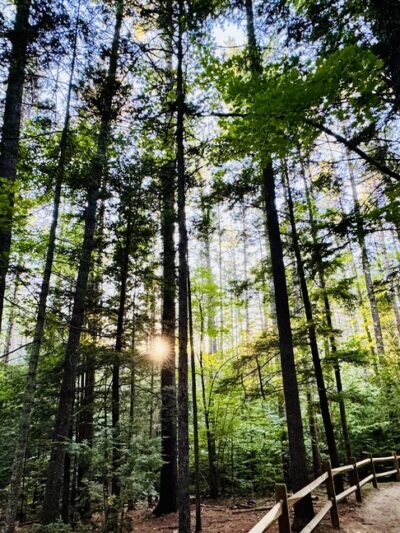 Diana's Baths - Bartlett, NH