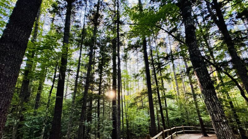 Diana's Baths - Bartlett, NH