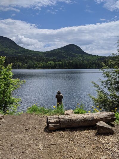 Sawyer River Road Trailheads (Crawford Notch side) - Bartlett, NH