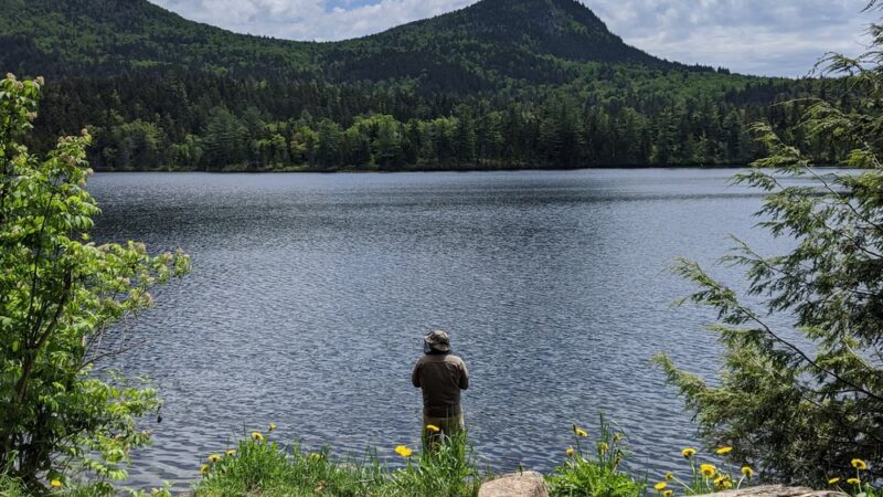Sawyer River Road Trailheads (Crawford Notch side) - Bartlett, NH
