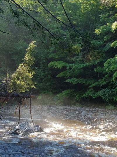 Sawyer River Road Trailheads (Crawford Notch side) - Bartlett, NH