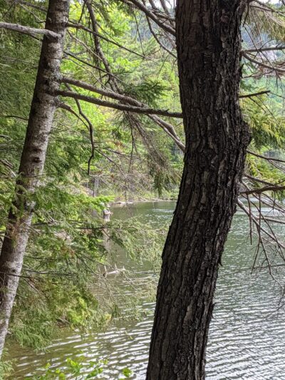 Sawyer River Road Trailheads (Crawford Notch side) - Bartlett, NH
