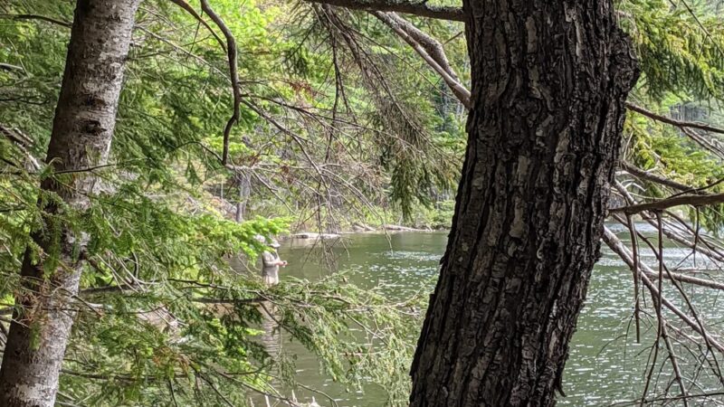 Sawyer River Road Trailheads (Crawford Notch side) - Bartlett, NH