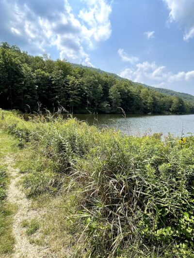 Lake Buffalo Recreation Area - Bartow, WV
