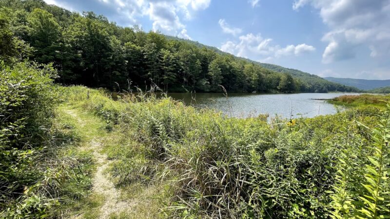 Lake Buffalo Recreation Area - Bartow, WV
