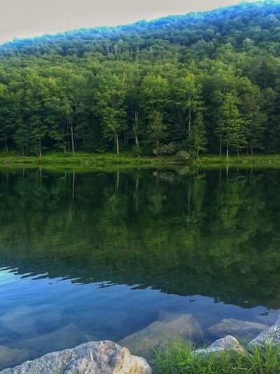 Lake Buffalo Recreation Area - Bartow, WV