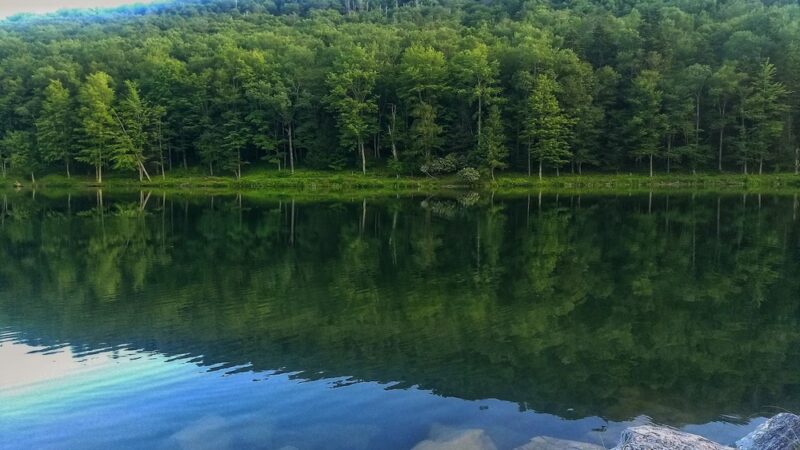 Lake Buffalo Recreation Area - Bartow, WV