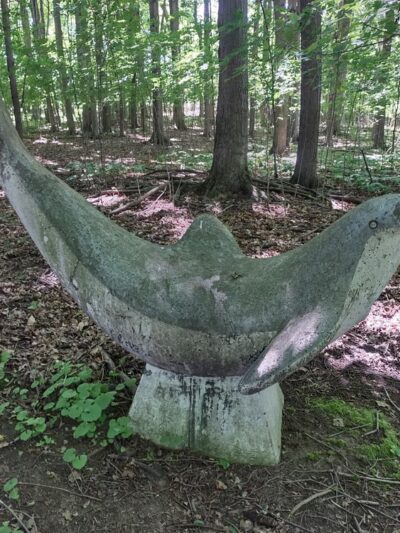 John White Wildlife Management Area - Basom, NY