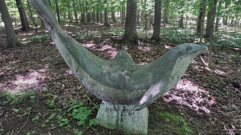 John White Wildlife Management Area - Basom, NY