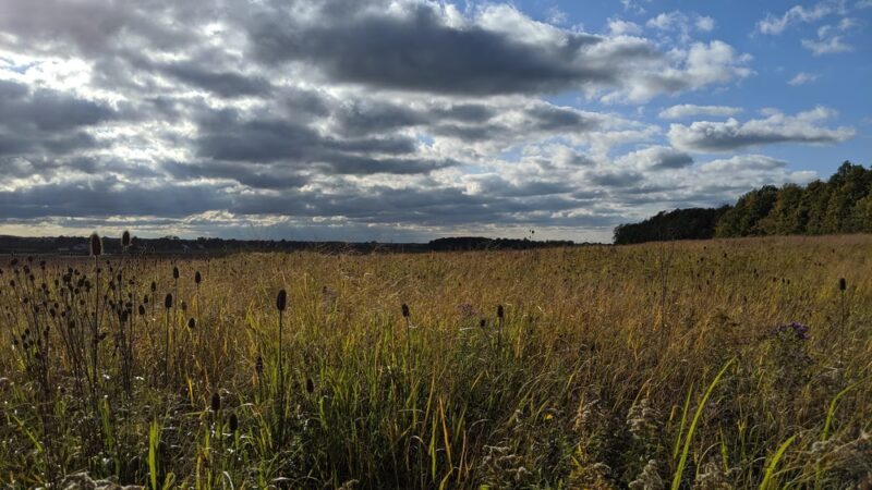 John White Wildlife Management Area - Basom, NY