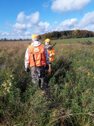 John White Wildlife Management Area - Basom, NY