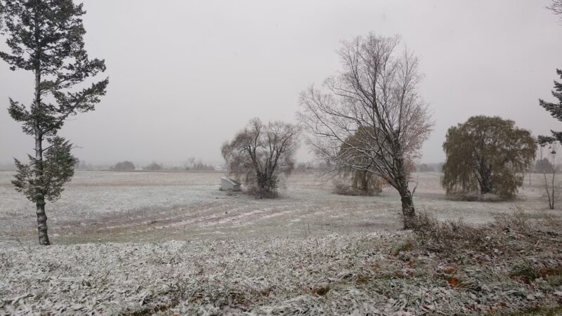John White Wildlife Management Area - Basom, NY