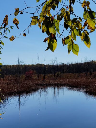 Onondaga Trail - Basom, NY
