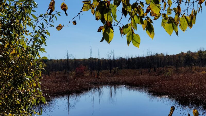 Onondaga Trail - Basom, NY
