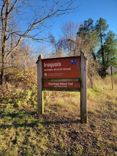 Onondaga Trail - Basom, NY