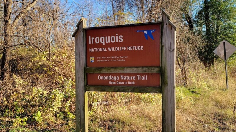 Onondaga Trail - Basom, NY