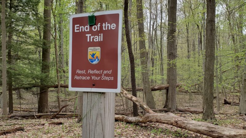 Onondaga Trail - Basom, NY