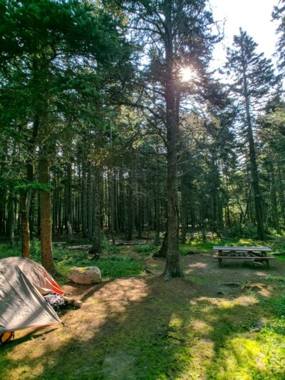 Bass Harbor Campground - Bass Harbor, ME