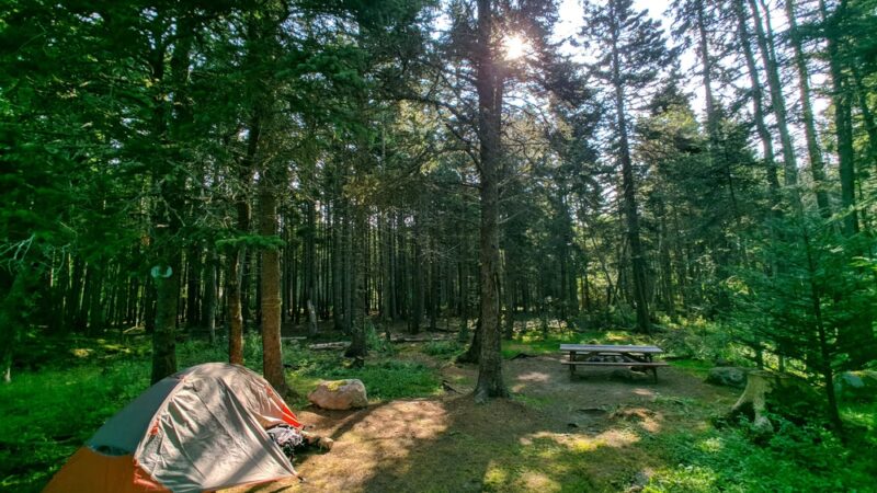 Bass Harbor Campground - Bass Harbor, ME