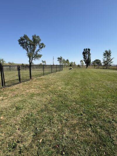 Batavia roadside dog park - Batavia, IA