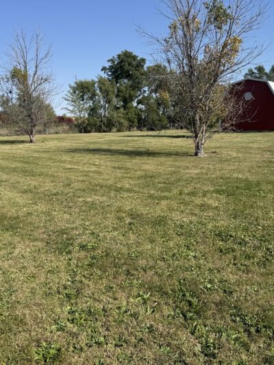 Batavia roadside dog park - Batavia, IA