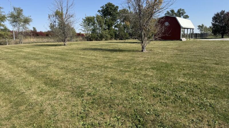 Batavia roadside dog park - Batavia, IA