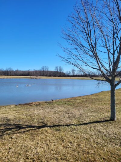 Six Pine Park - Batesville, IN