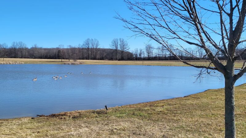Six Pine Park - Batesville, IN