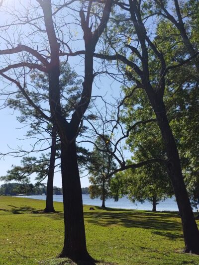 Bonner's Point - Bath, NC