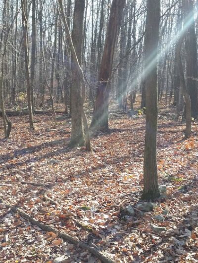 Moore Township Appalachian Park - Bath, PA