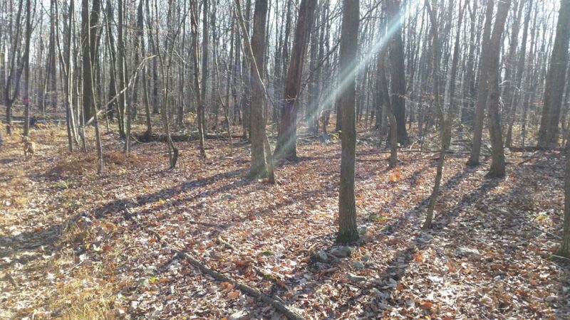 Moore Township Appalachian Park - Bath, PA
