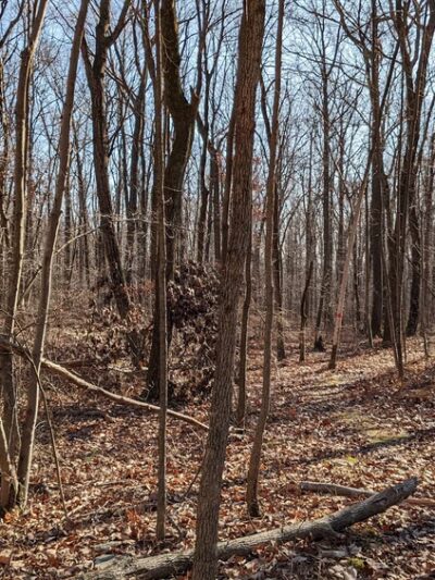 Moore Township Appalachian Park - Bath, PA
